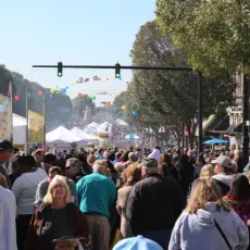 Barbecue Festival, Lexington NC STS Top 20 Event