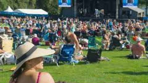 Burnaby Blues + Roots Festival