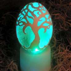 Erie Tree on Color Change Tea Light