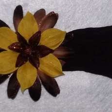 flower with nylon headband great for baby girls