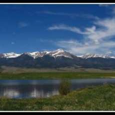 Creature Comfort Solutions