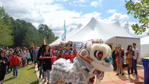 RI Chinese Dragon Boat Races & Taiwan Day Festival