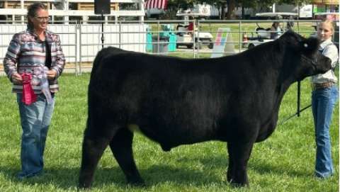 Othello Fair