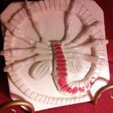 White Widow Facehugger