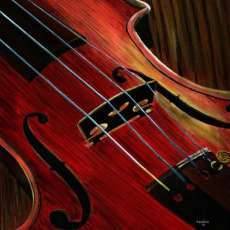 Violin