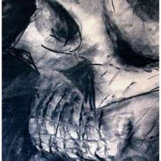 Wistful Bones - by D. Doro. of Doro Studios