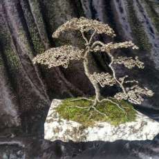 Beautiful Bonsai Mounted on Granite