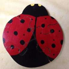 Lady Bug Puzzle