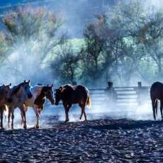 Early Morning Roundup