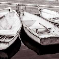 A Gathering of Dingies