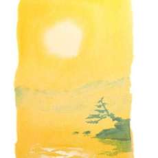 Summer Sun - September Series #12