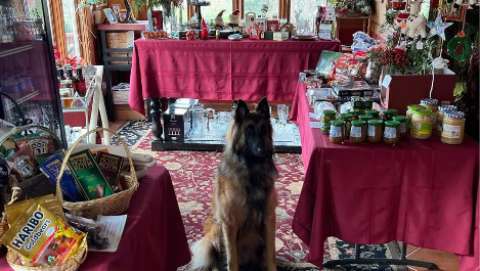 Bavarian Christkindl Market