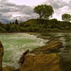 Uncompahgdre River-Ouray, Colorado