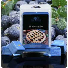 Blueberry Pie Tarts