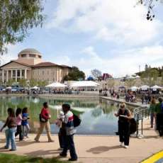 Soka University's International Festival overview