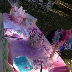 Booth at Princess Promenade event