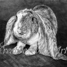 Cathy Fidelibus-Maguire - Creative Touch Art