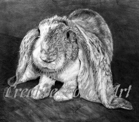 Cathy Fidelibus-Maguire - Creative Touch Art Cathy Fidelibus-Maguire - Creative Touch Art