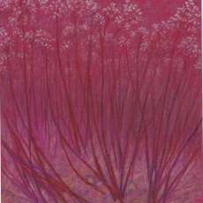 "red, white, and pink"