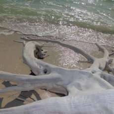 Ten Thousand Islands, Ten Thousand Miles