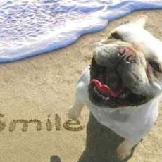 Smile