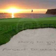 Born to Golf...