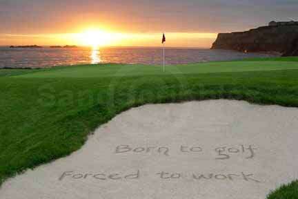 Born to Golf...
