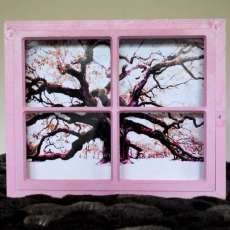 Angel oak photo in window frame