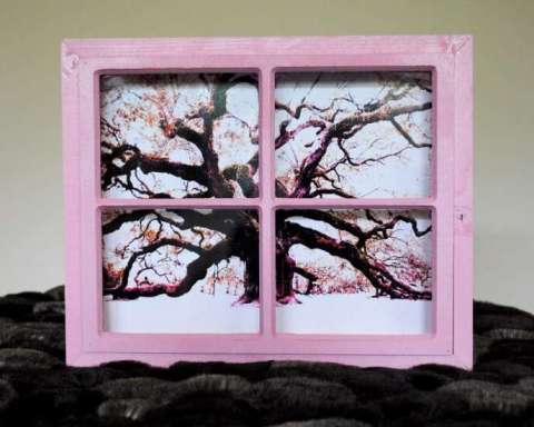 Angel oak photo in window frame