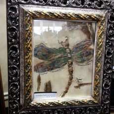 Dragonfly Collection