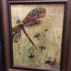 Dragonfly Collection