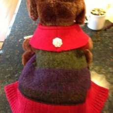 doggie sweater
