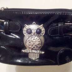 Black Plasti Sliver Owl Change-Bag Purse