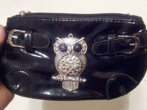 Black Plasti Sliver Owl Change-Bag Purse