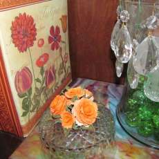 Awesome Orange Bliss - Click on photo to enlarge