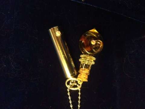 Sahara Brignoli Sahara Brignoli