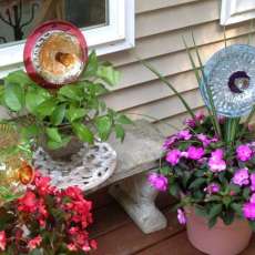 Three in Flower Pots