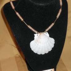 Shell Necklace