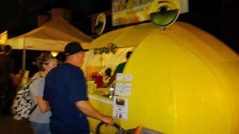 LemonadeFace Serving at Jim Houghtons Fair