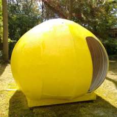 The Birth of LemonadeFace