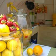 Only Fresh Lemons and Strawberrys for LemonadeFace