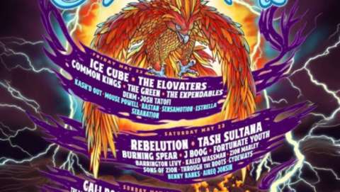 California Roots Music and Arts Festival