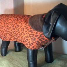 Orange Leopard Dog Jacket