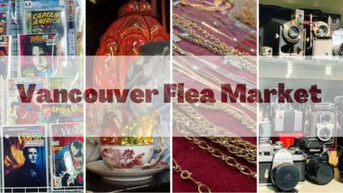 Card and Collectibles Show