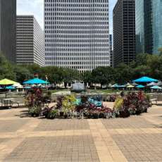 Stage, 10x10 HP Tents and Picnic Tables W/Umbrellas