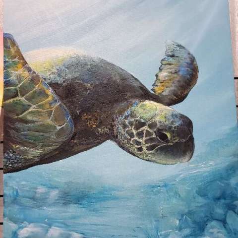 Diving Turtle 2019