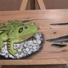 Frog on Pecky Cypress