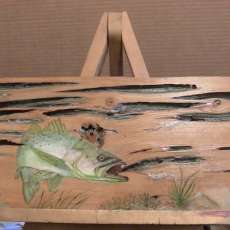 Speckled Sea Trout on Pecky Cypress