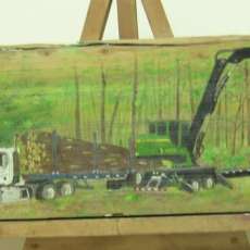 Florida Timber Harvest