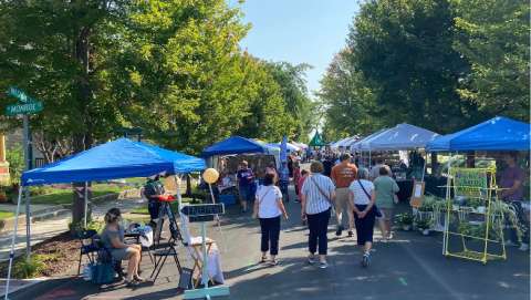 Old Washington Street Festival